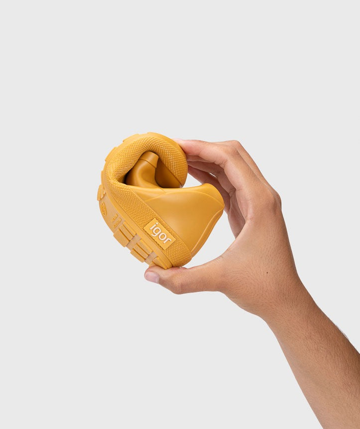 Yogi amarillo